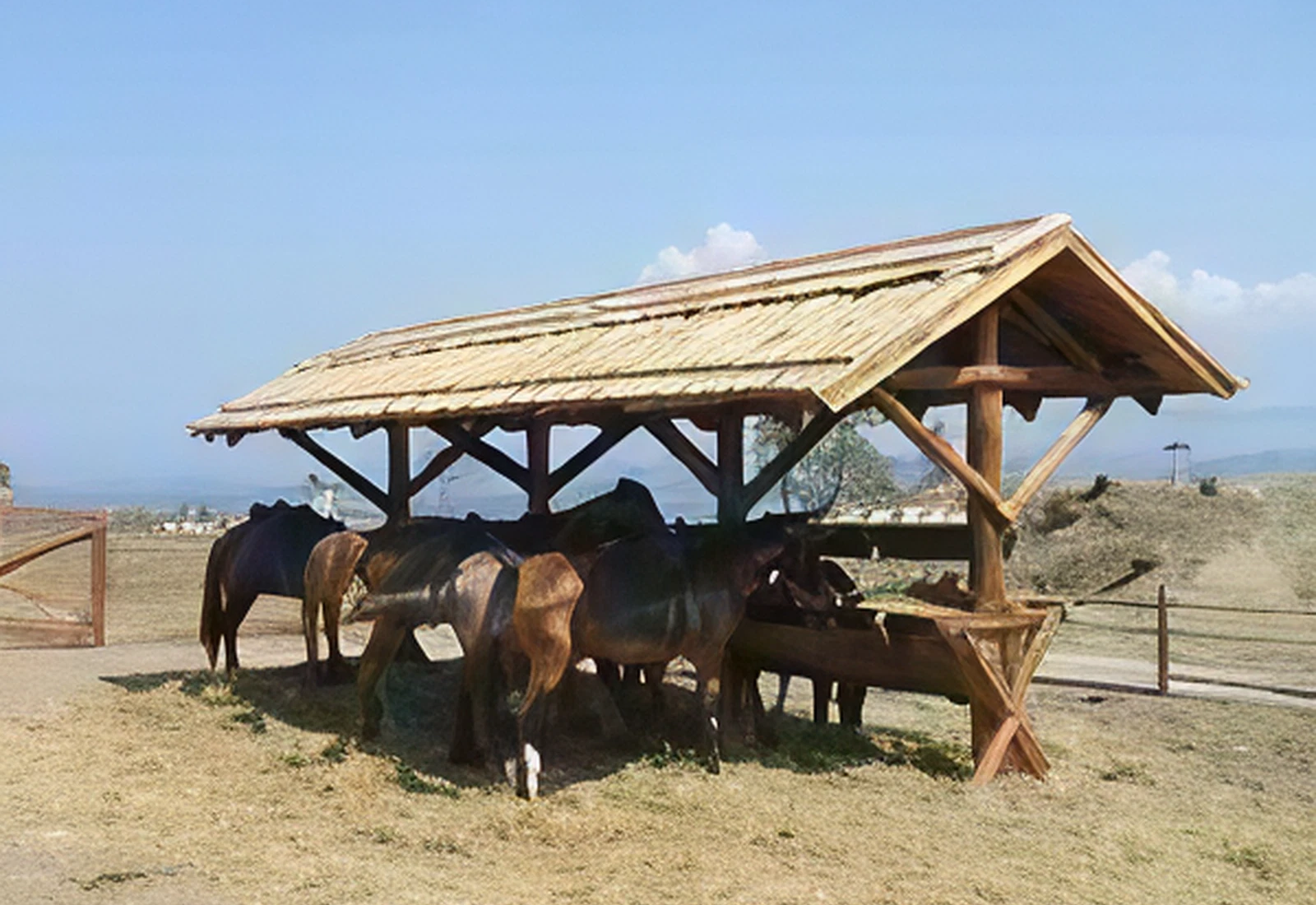 Horse Stall - Equestrian Club "Ballada"