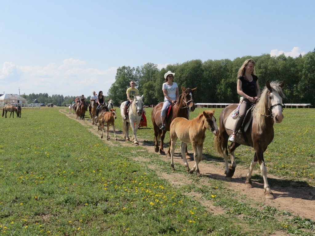 10d2a1eb79b7bb590695d33a51bf8cc1ff220aff