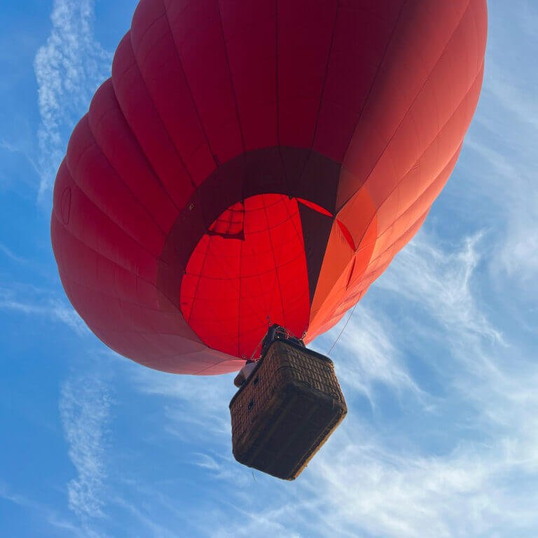 177171-scaled-e1700423346151-768x768