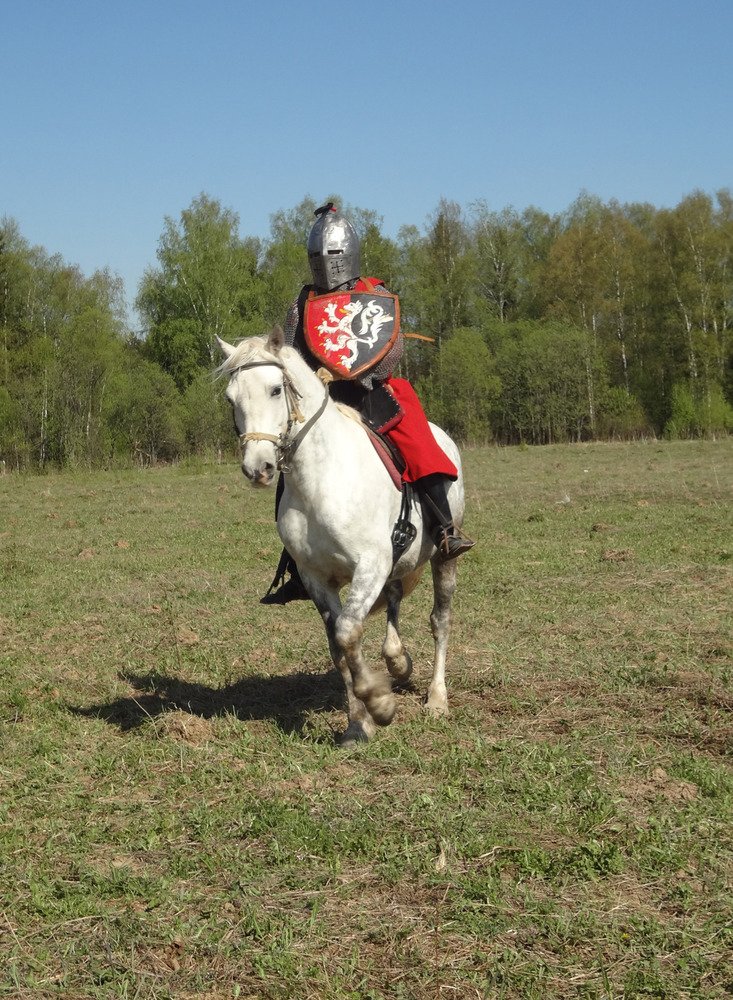 32614587.on2aokwnth.900x1000