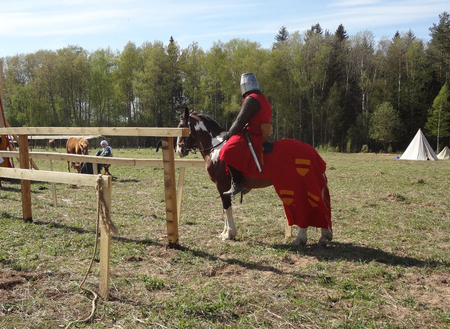 32614591.3vsr5au857.900x1000