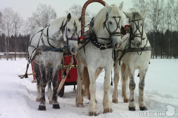 32614592.i99kjdc6r2.900x1000