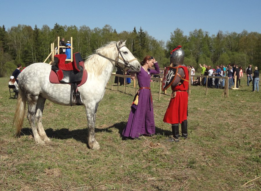 32614595.95ch566rv7.900x1000