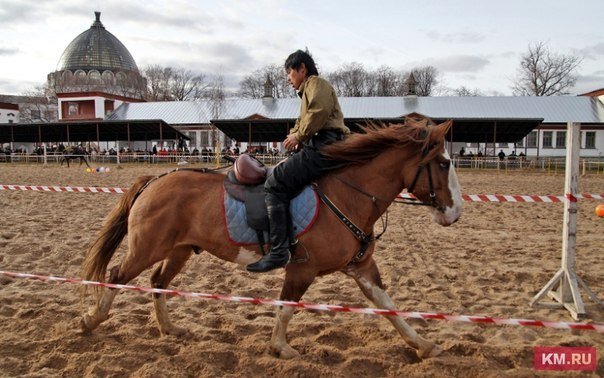 32614600.fqbzca8cfm.900x1000