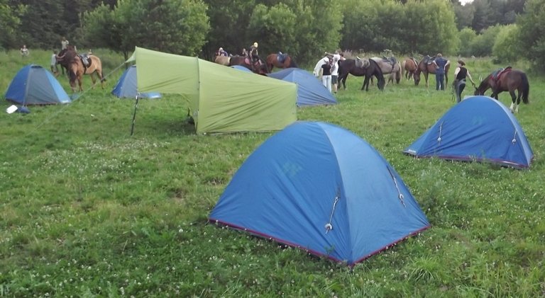 32614601.cawk769t9v.900x1000