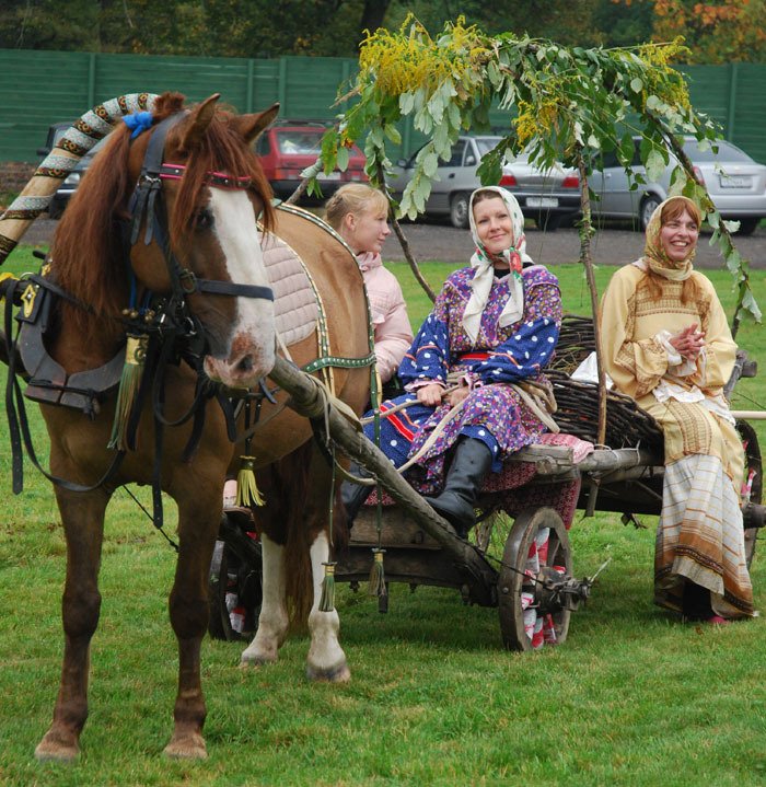 32614605.nvs4y978t4.900x1000