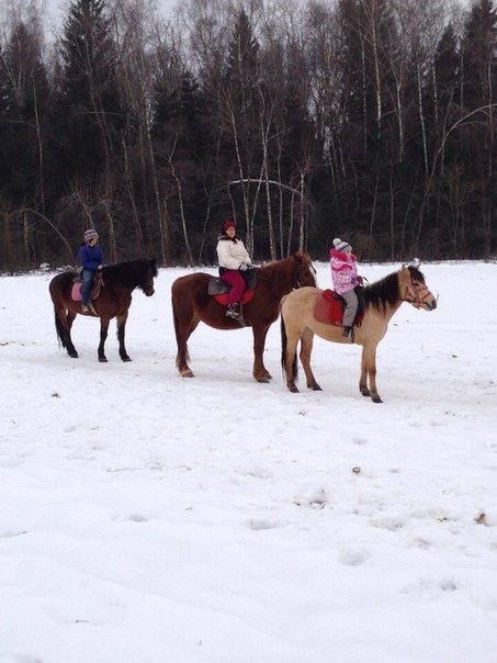 32614608.shii4a5tpa.900x1000