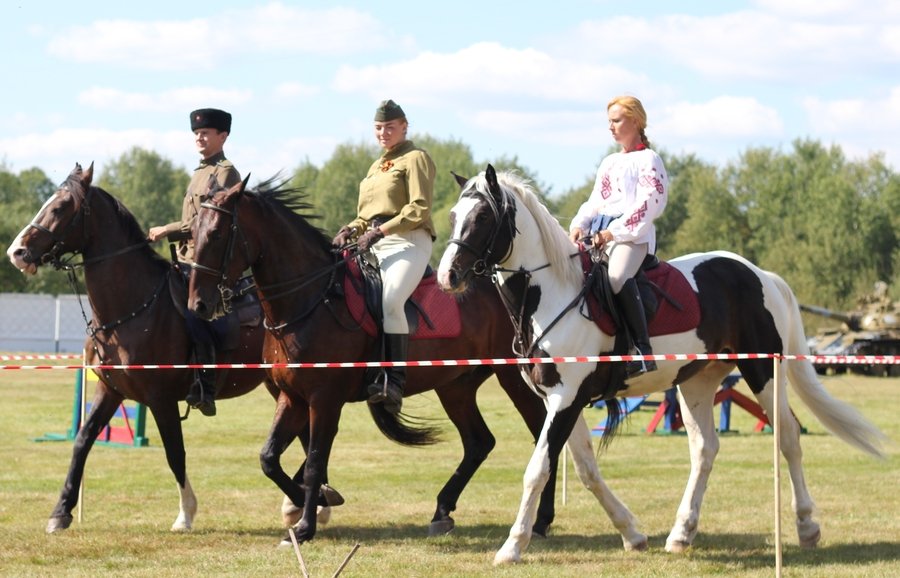 43853429.2zn74rh7kn.900x1000