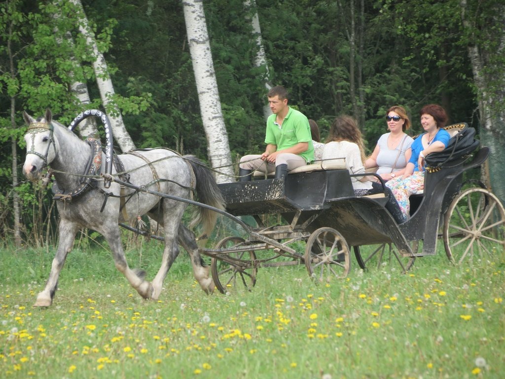 9ce8949604d3a45841218b1b03c943ad9aa6e0f0