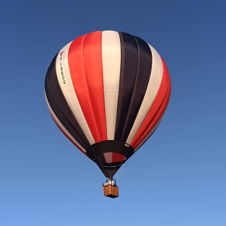 IMG_20220629_134615_244-768x768