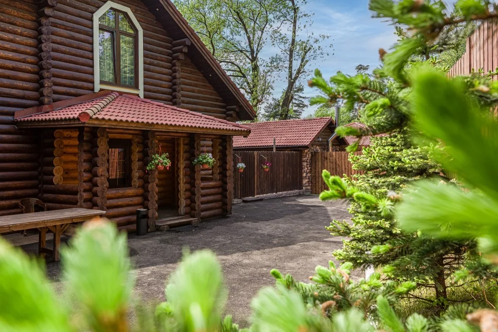 ZV_normal_20210526_1.jpg (1)