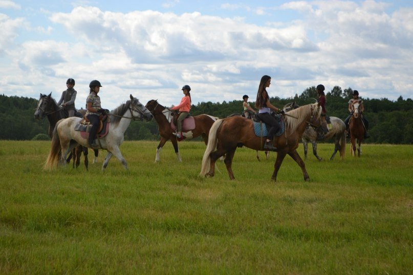 ace7c93cc22abf285d5bc805dde4be461a4c56a4