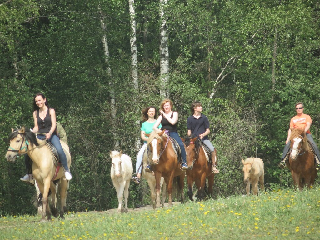 f94bd2e587f0f5dc78219a291e05a7e84f917005