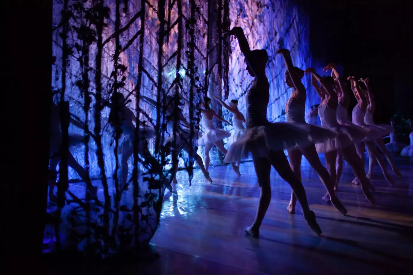 gysz3aqpue1b72m4xx10moya06fi439r