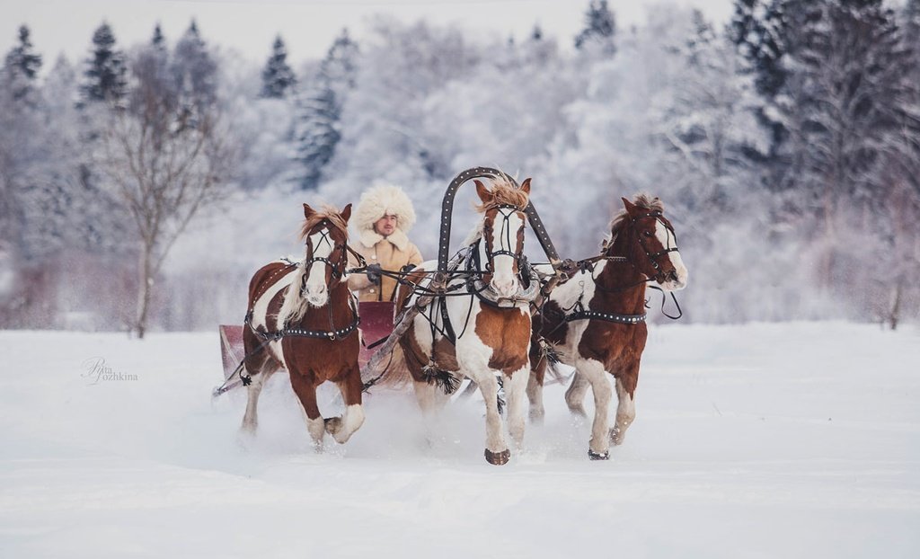 pgpuew8msq8so84wkocg8sssc0wcko