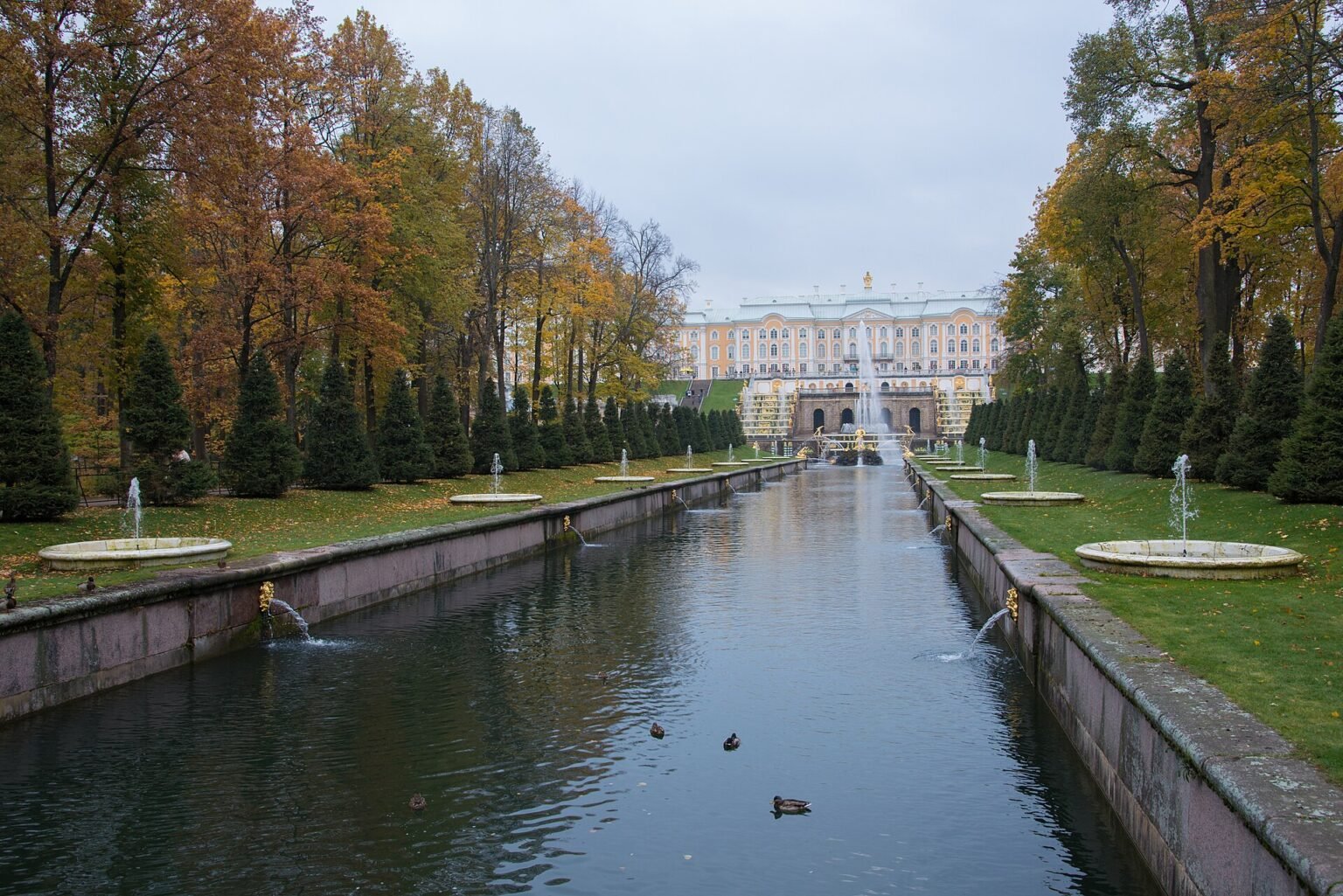 Tours & Packages